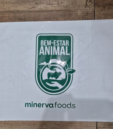 Faixas para Eventos e Estádio de Futebol